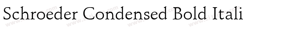Schroeder Condensed Bold Italic字体转换